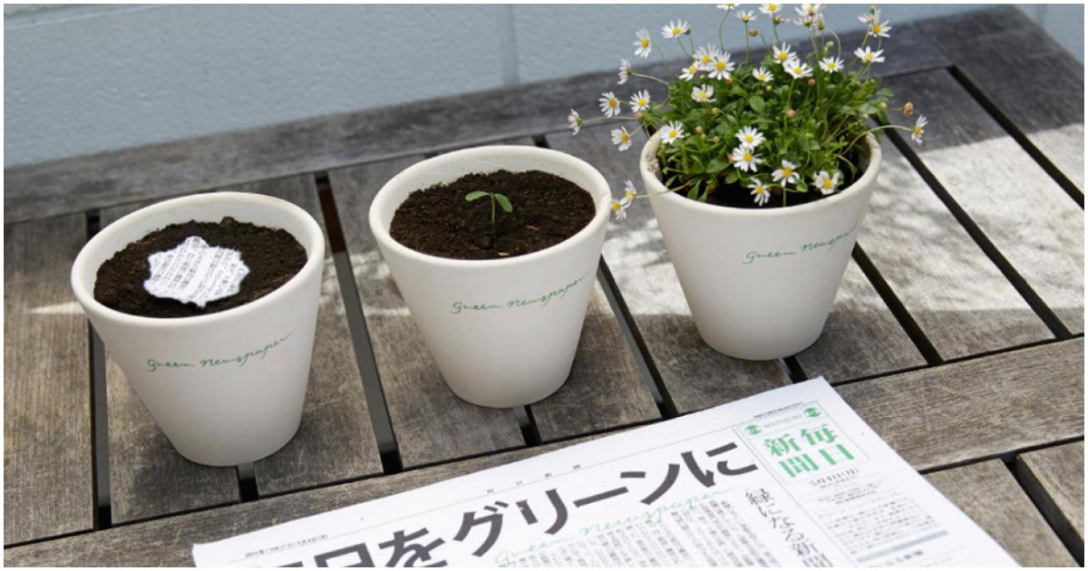 Екологично: В Япония съществува вестник, който можем да засадим