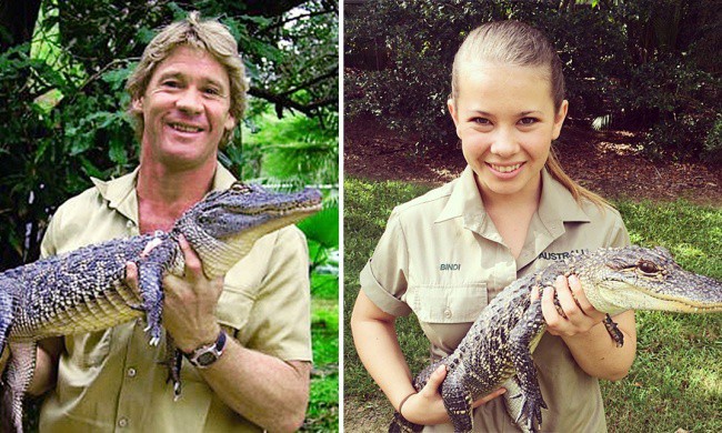 Пошла по стопам отца. Стив Ирвин. Австралийский зоопарк Стива Ирвина. Дрессировщик крокодилов Стив Ирвин. Стив Ирвин с крокодилом.
