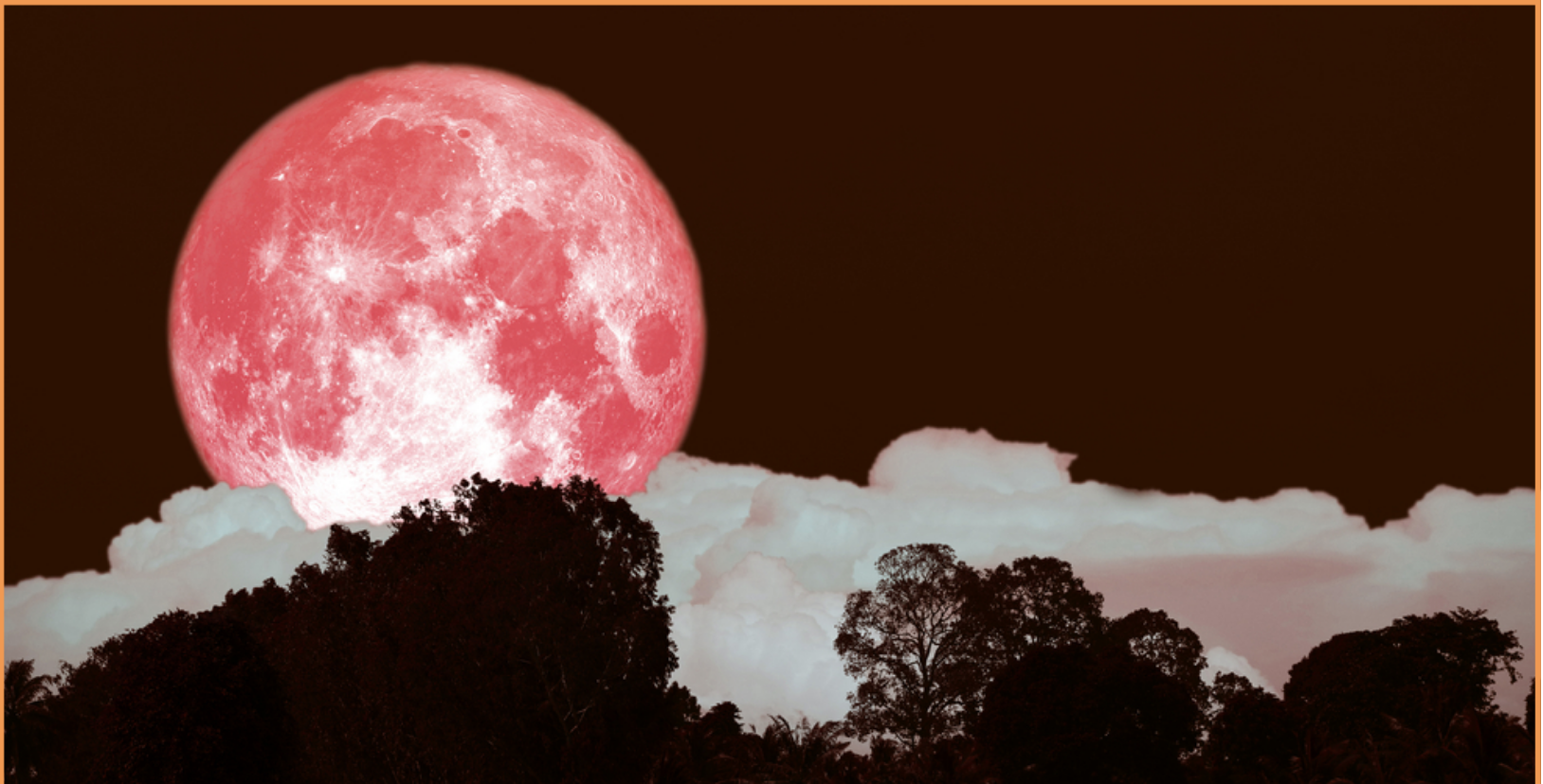 Явлението розова луна се появява винаги през месец април Тази