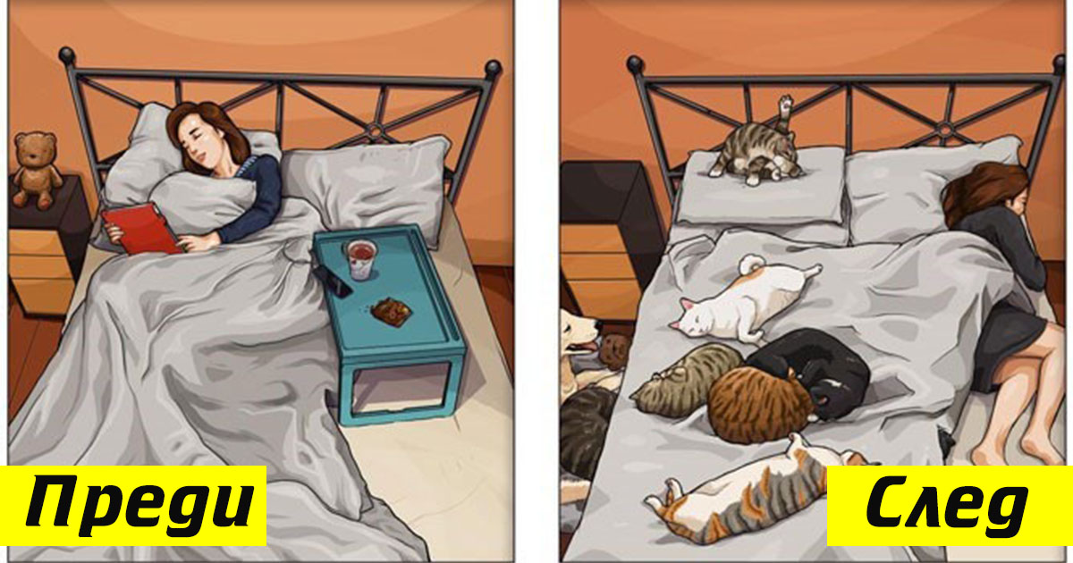 Забавни комикси: Как изглежда животът, когато имаш домашен любимец