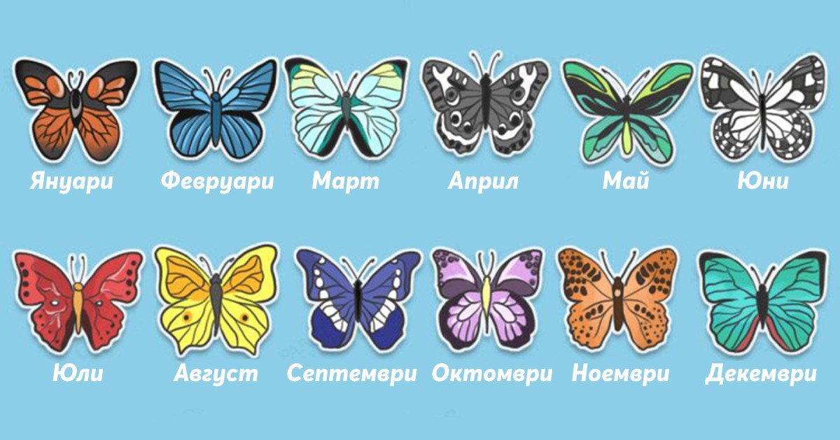 Тест: Пеперудата на всеки месец разкрива характера ти