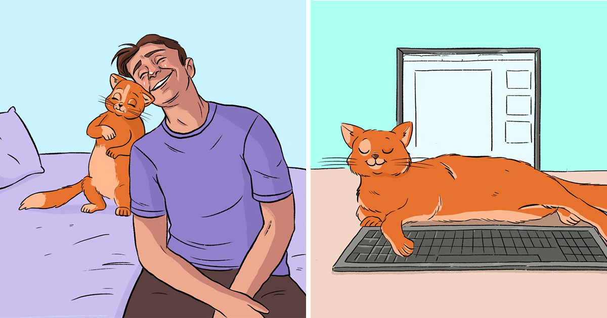 13 начина, по които котката ви казва, че ви обича