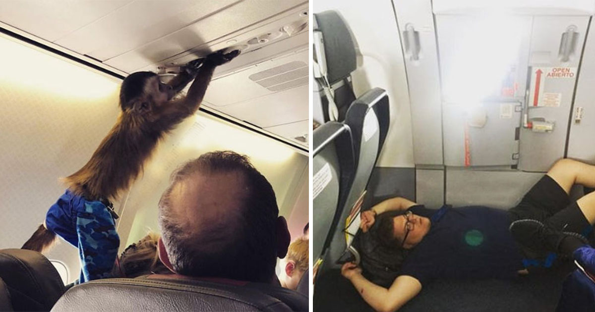 Неприятно: 17 ужасни пътници, които могат да съсипят всеки полет