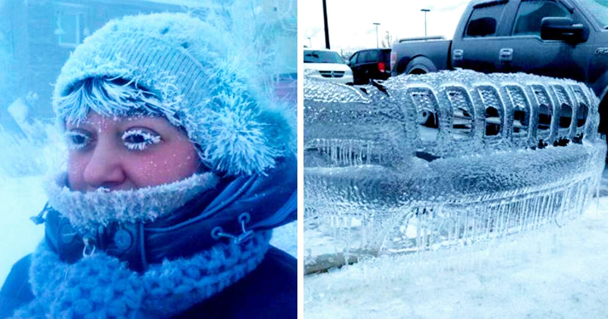 Зимна идилия: 25 снимки показват какво е истински СТУД