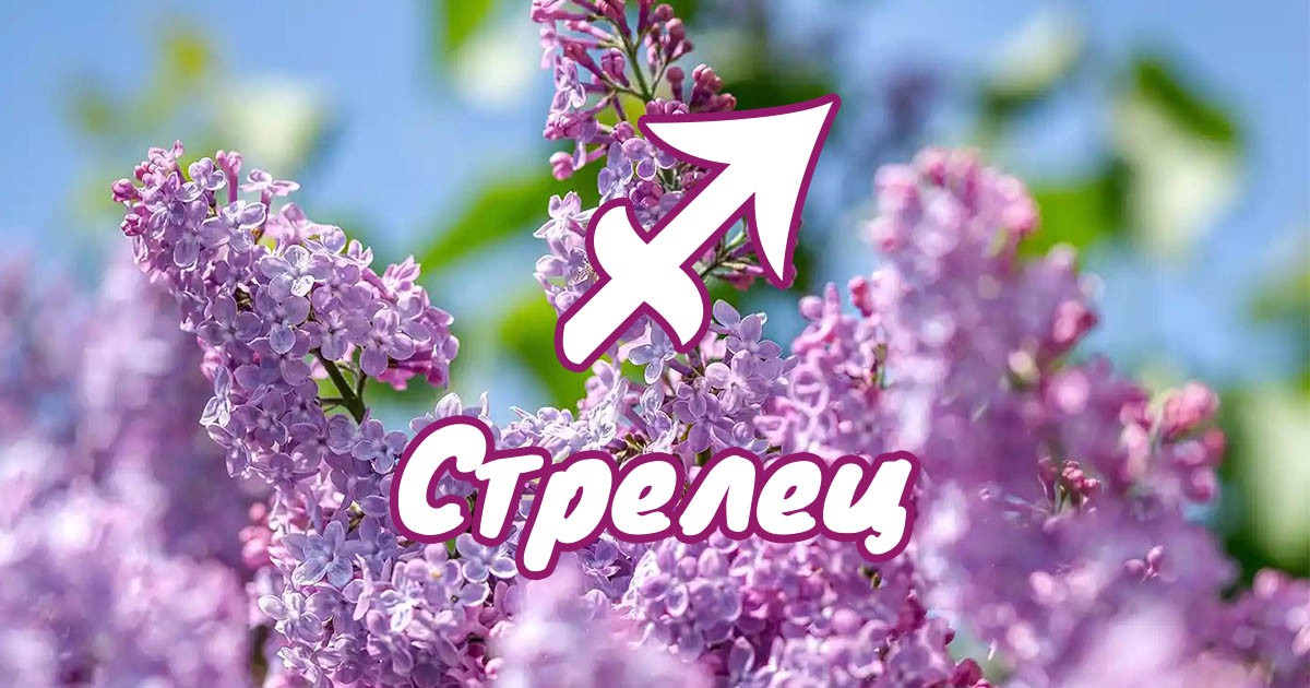 Стрелец - април ви носи приключения, възможности и нова любов width=