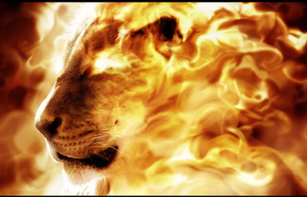 Слънце в Лъв: Горещи любовни страсти при огнените знаци Лъв, Стрелец и Овен