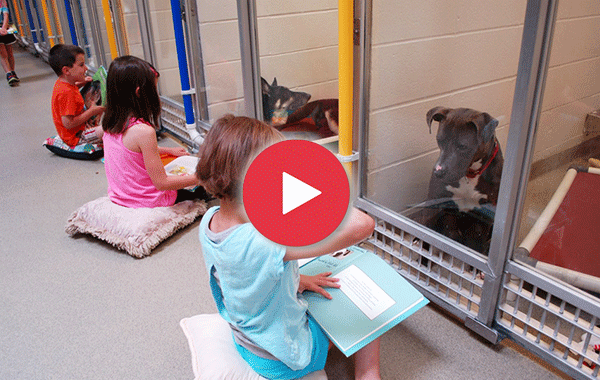 Деца практикуват уменията си да четат, за да успокоят бездомни кучета
