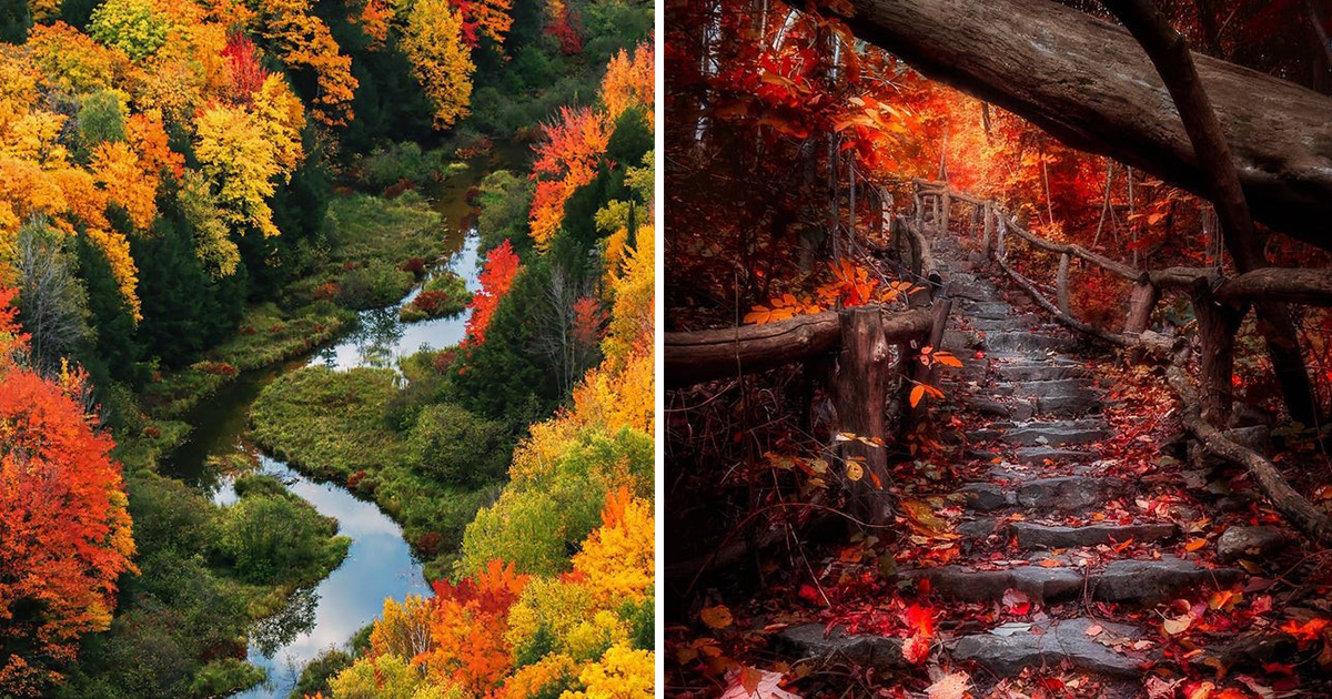19 снимки, които ще ви накарат да се влюбите в есента