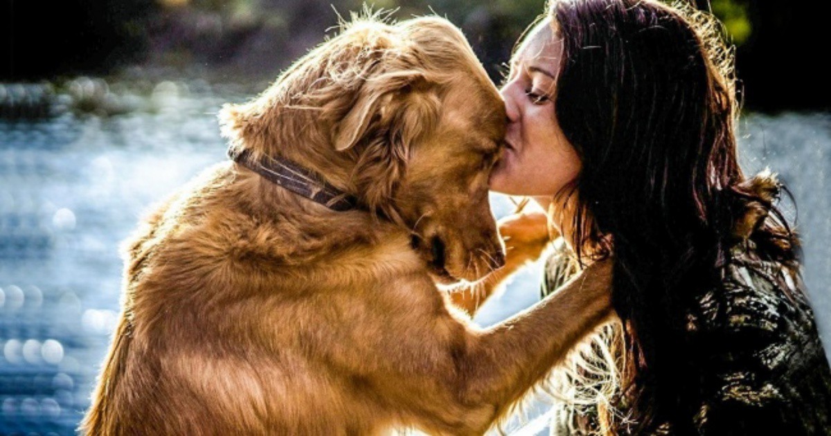 10 факта за кучетата доказват, че ne можем да живеем без тях