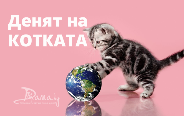Днес е Световният ден на котката