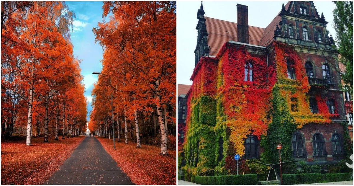 Топла есен: 22 снимки, които показват колко красива е природата