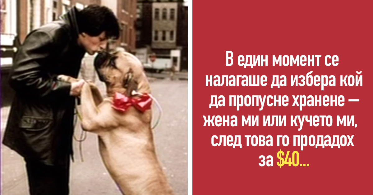 Истинското приятелство може да устои на всичко: Историята на Силвестър Сталоун и неговото куче