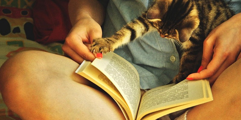 Четенето пристрастява: какъв е ефектът от една добра книга