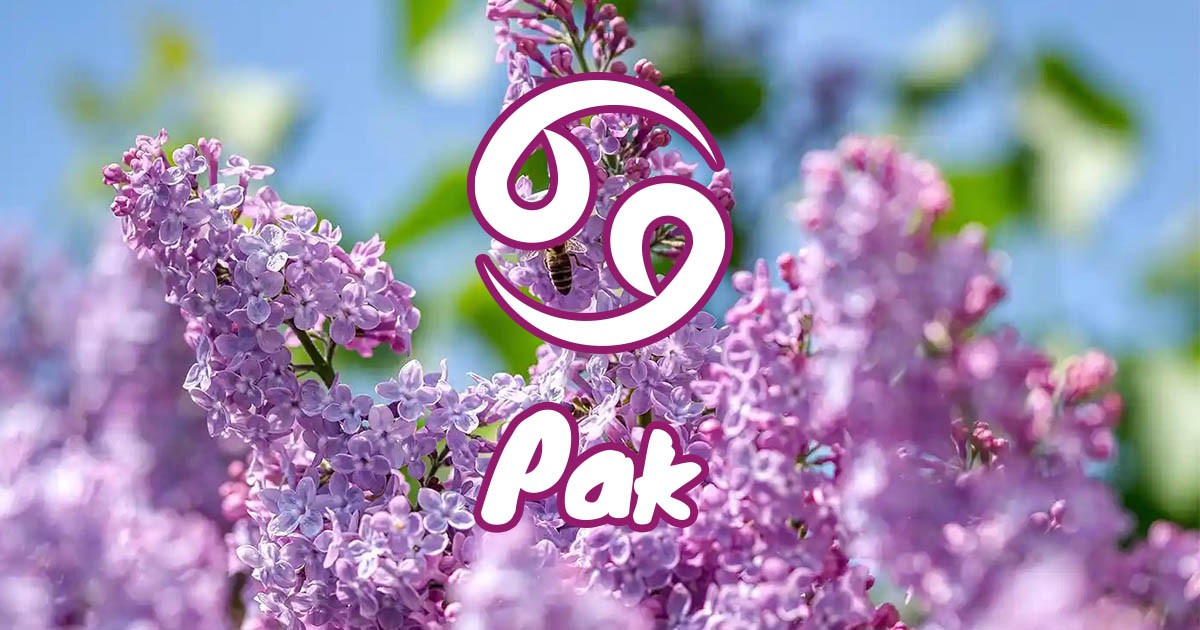 Рак - април е месец на решителни промени и нова посока