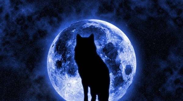 Тази нощ наблюдаваме Вълча луна: Време е да се изправим пред страховете, грешките и слабостите си!