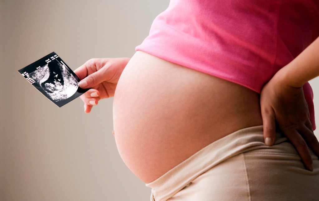Един ден от живота на едно неродено бебе