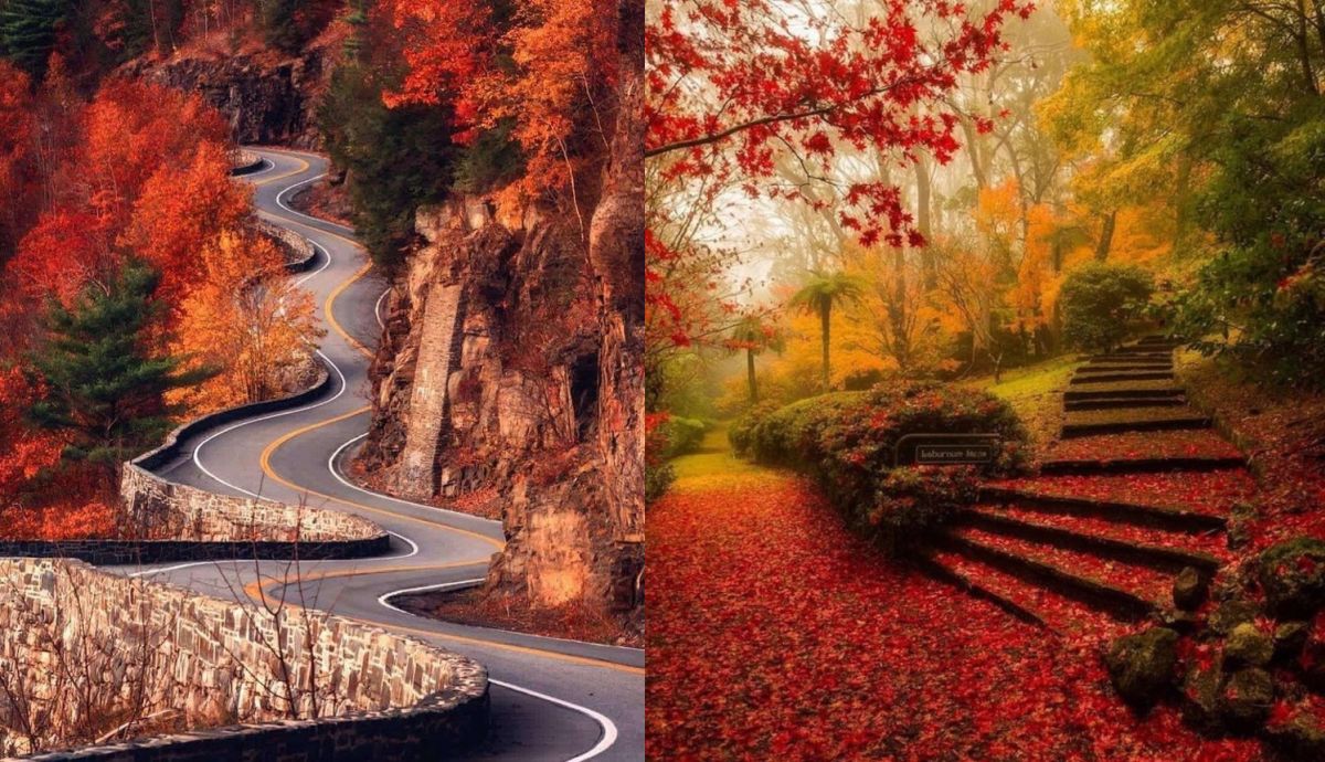 Есенна магия: 25 доказателства, че есента е най-изкусният художник