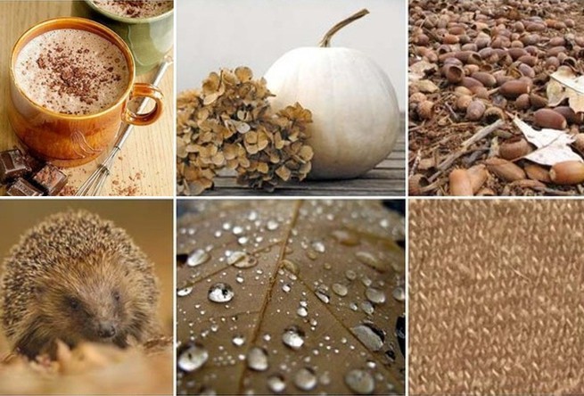 10 неща, които да направите тази есен