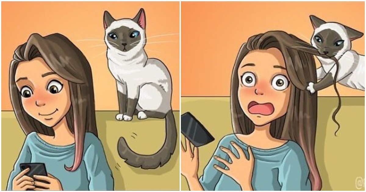 Забавни комикси: 23 примера, че животът с котка е прекрасен