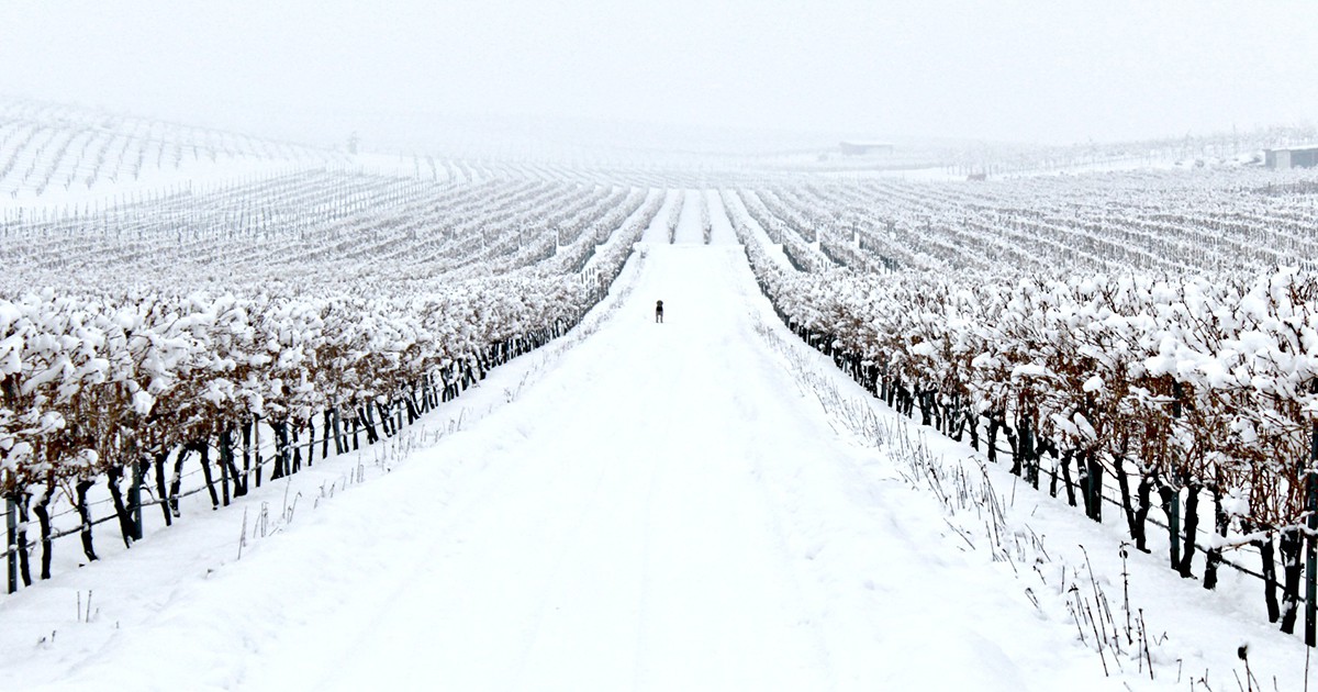 През първия ден на месец февруари започва цикъл от три