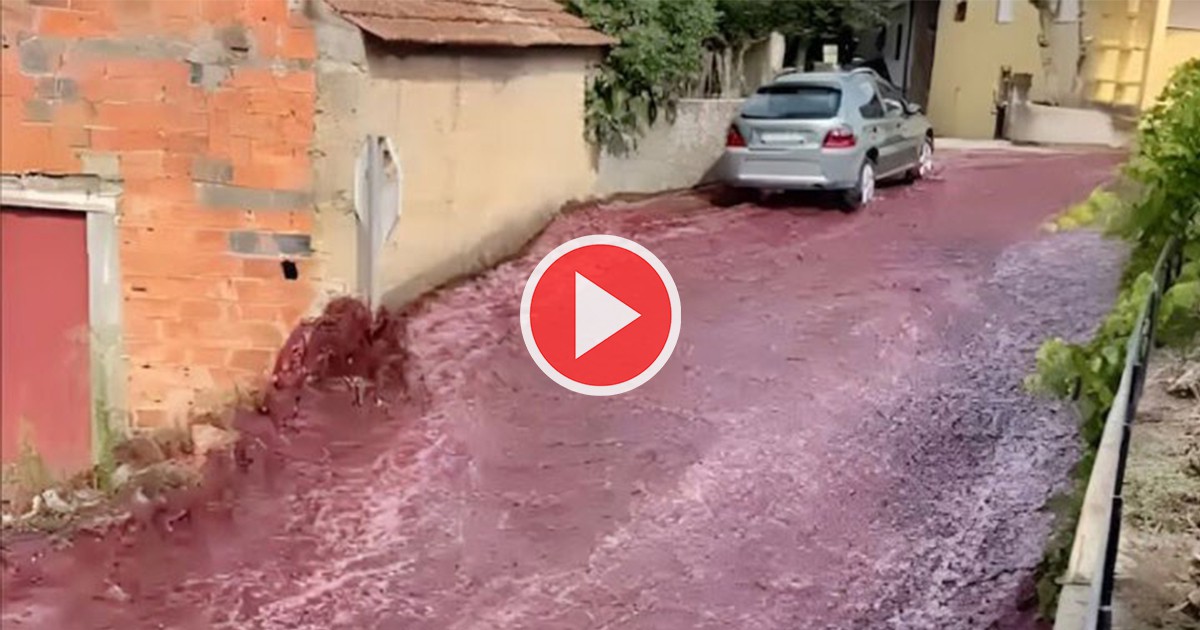 Вино се лее по улиците на Португалия (ВИДЕО)