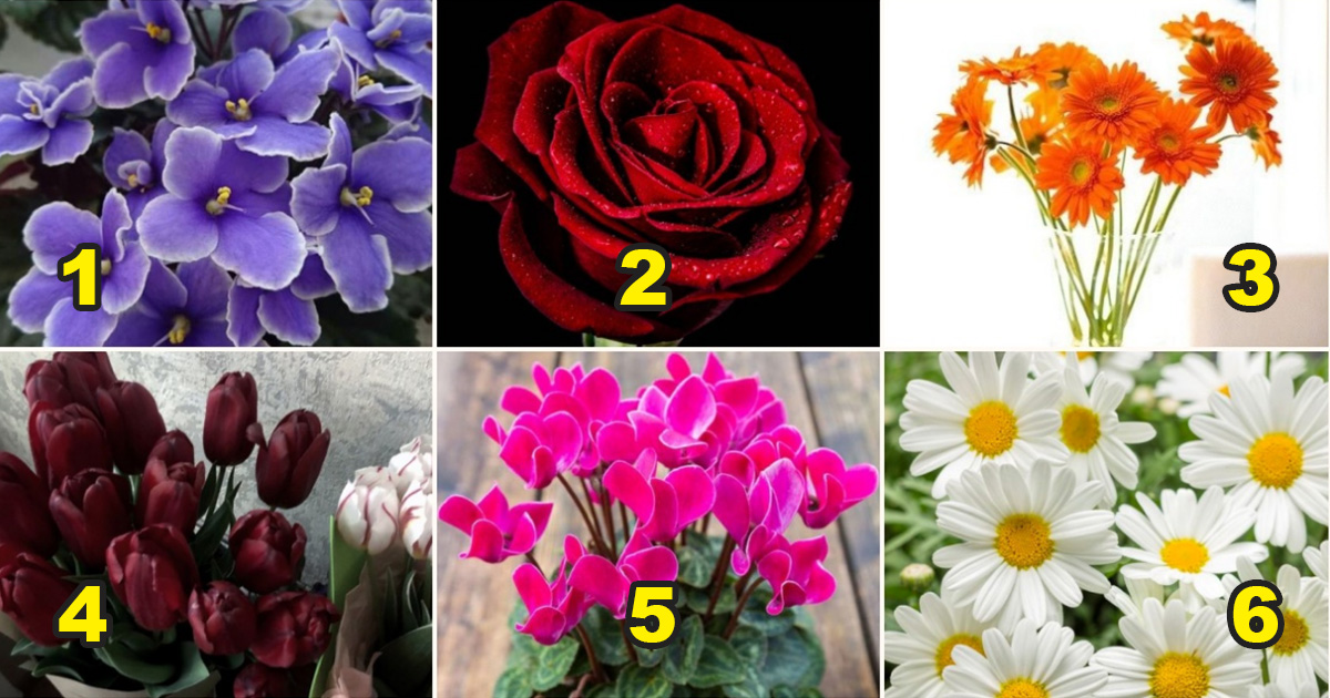 Тест: Изберете цвете и разберете кой е най-големият ви СТРАХ в любовта