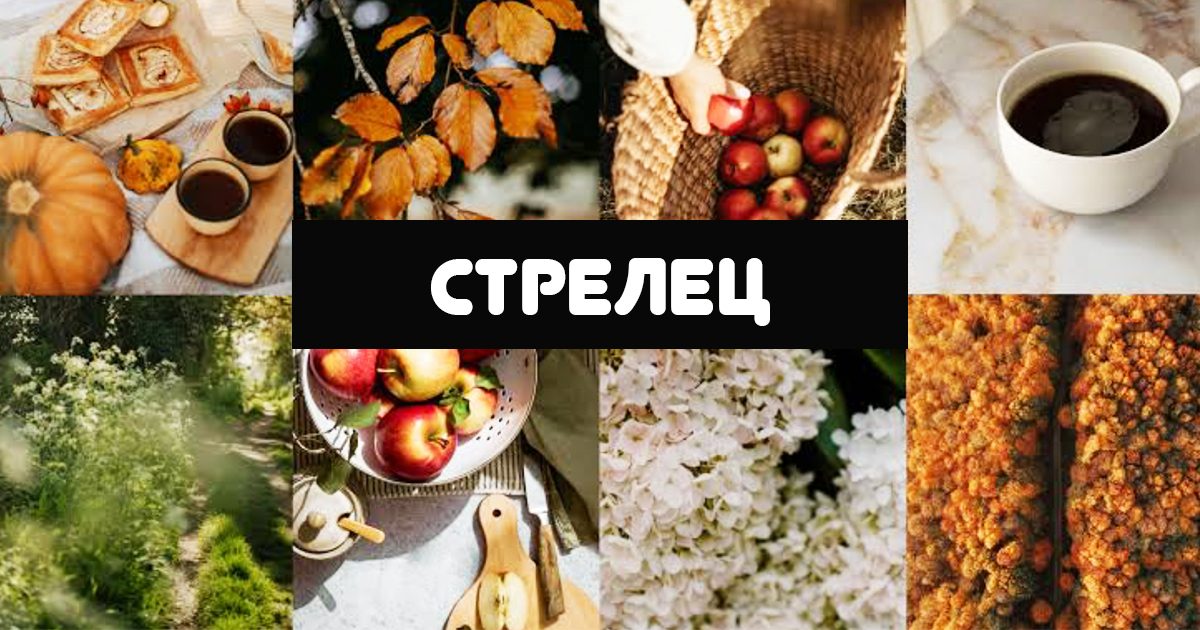 Месечен хороскоп за Стрелец за септември