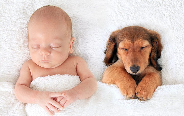 Очарователно: Спящи бебета и кученца