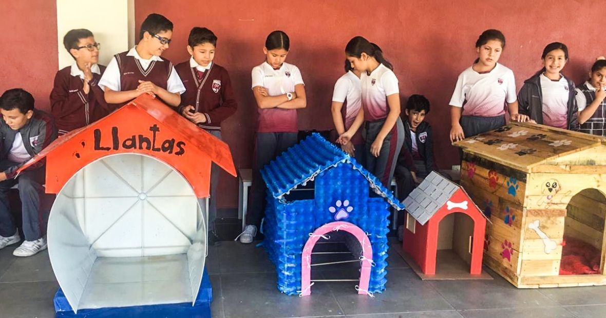 Деца от Мексико строят къщи за улични кучета от рециклирани материали