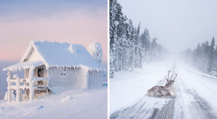 Лапландия: Най-вълшебното място да посрещнеш Коледа