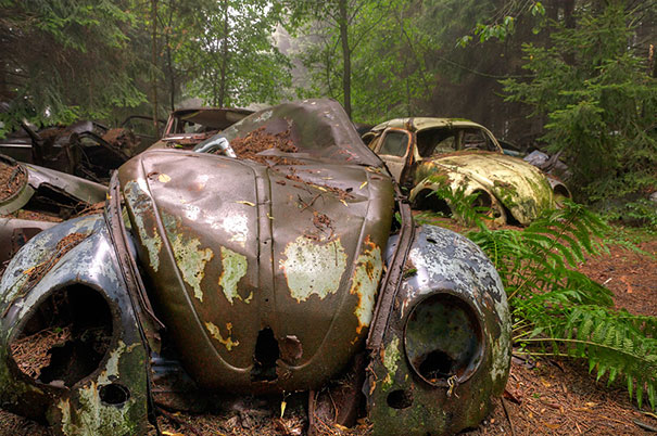 500 коли в задръстване в белгийска гора повече от 70 години