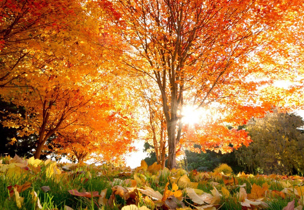20 снимки, разкриващи приказната красота на есента