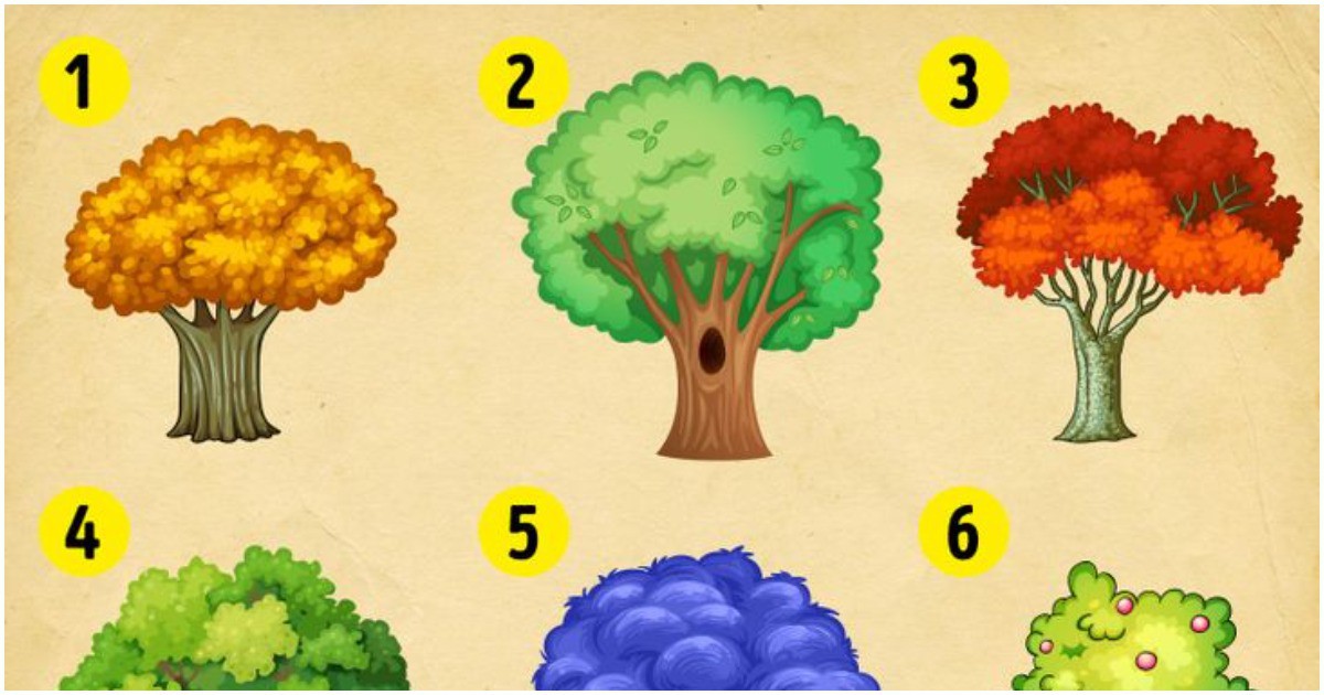 ТЕСТ: Изберете дърво и вижте какви промени ще ви се случат до края на лятото