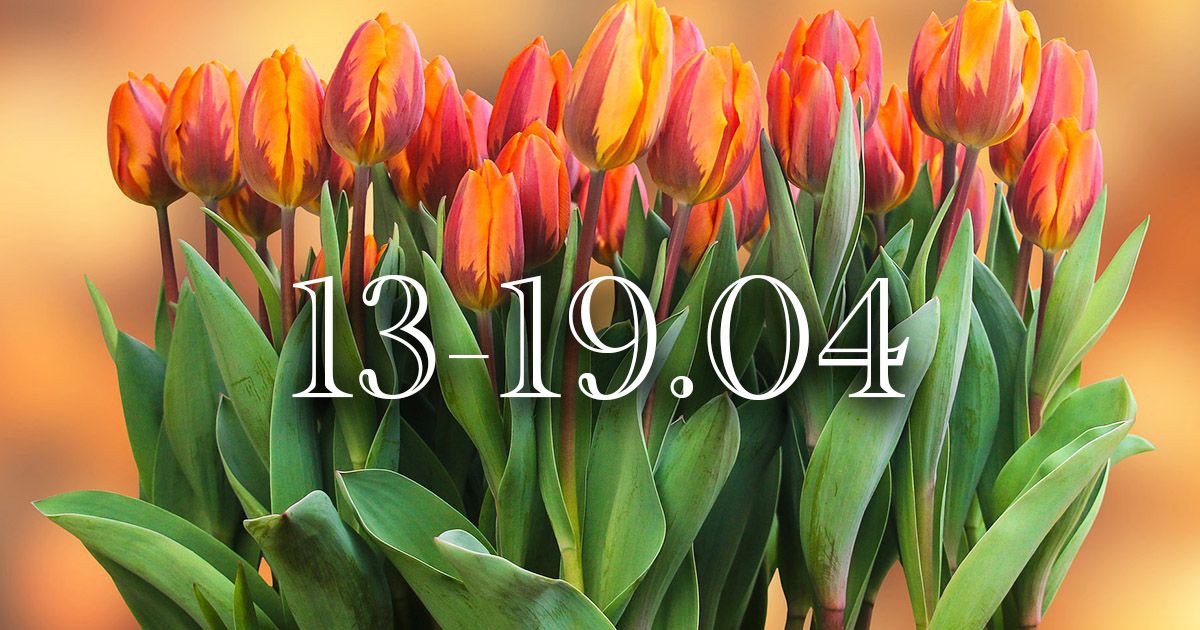 Седмичен хороскоп от 13 до 19 април: Време за подреждане, решения и нови посоки