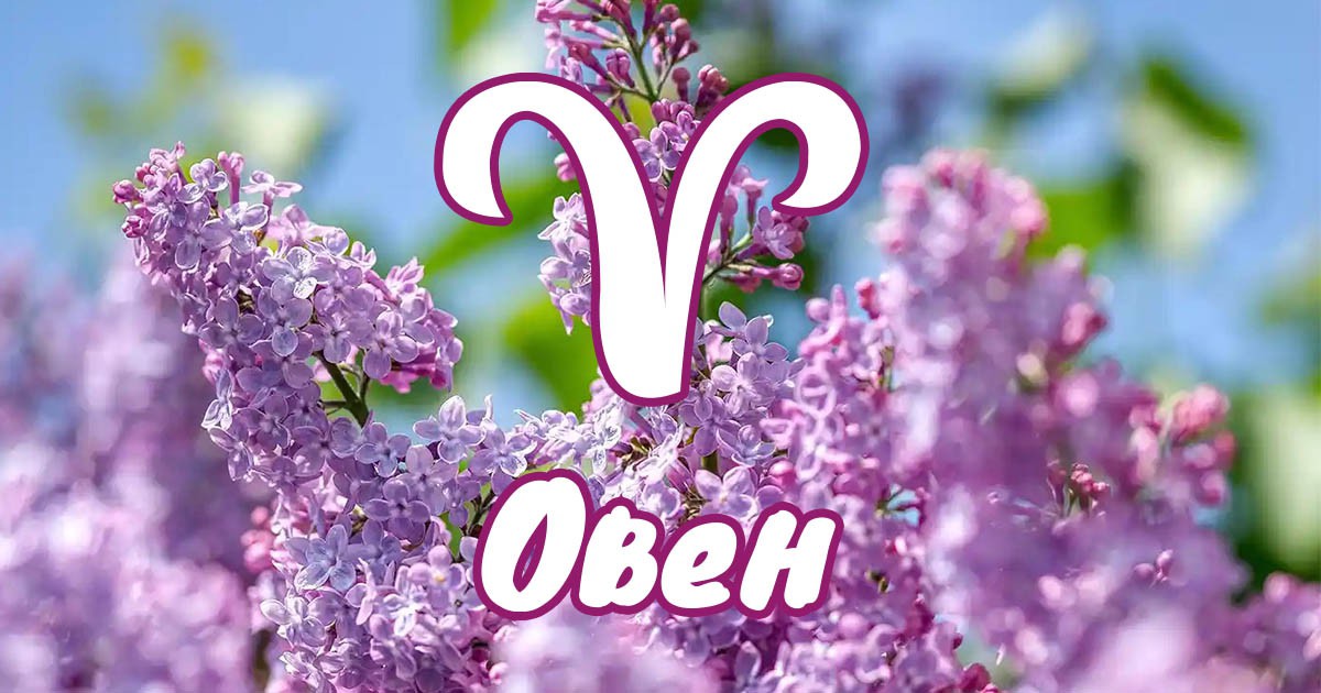 Овен - април ще те изстреля нагоре width=