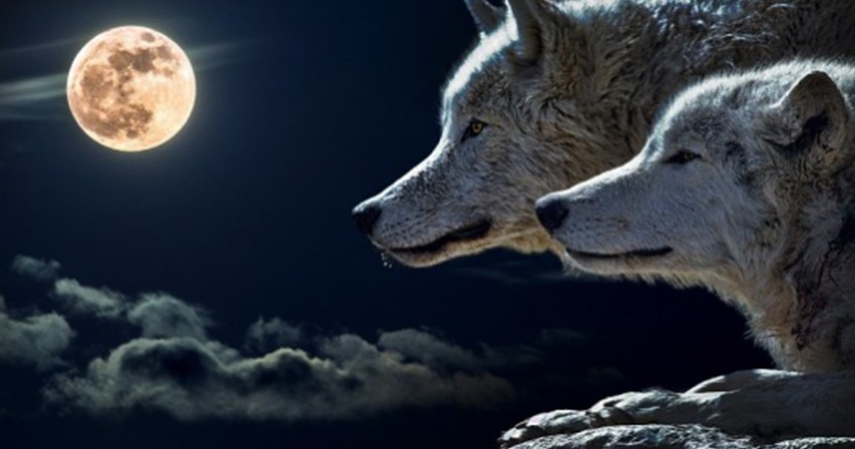 Днес е Вълча луна: Време е да се изправите срещу страховете си
