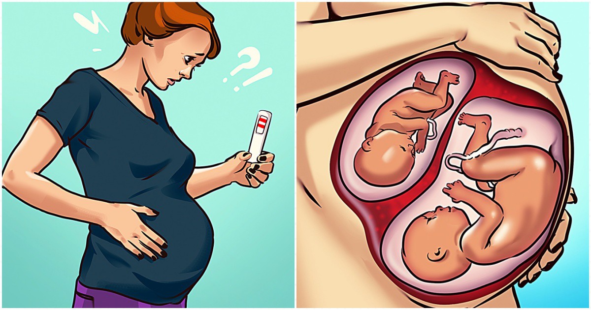 Според науката жените могат дa забременеят, докато са бременни