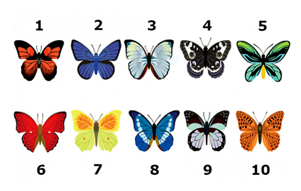 Избери си пеперуда и виж какво показва тя за най-силната ти женска черта
