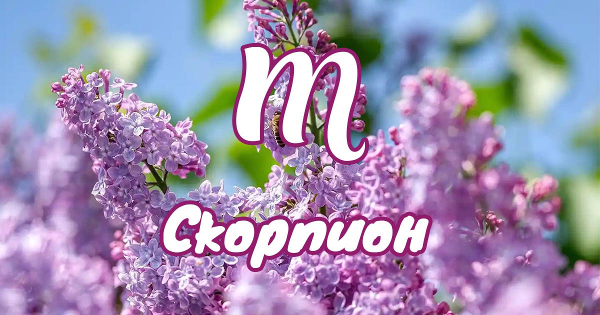 Скорпион - април е време за действие и реални резултати