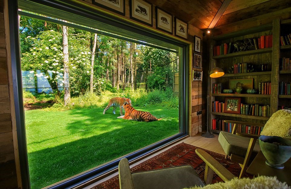 Изумително място за почивка: Вилата,в която гостите са само на едно стъкло разстояние от тигрите