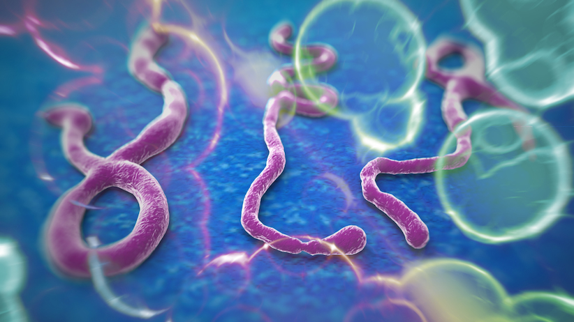 Как да се предпазим от заразяване с ебола?
