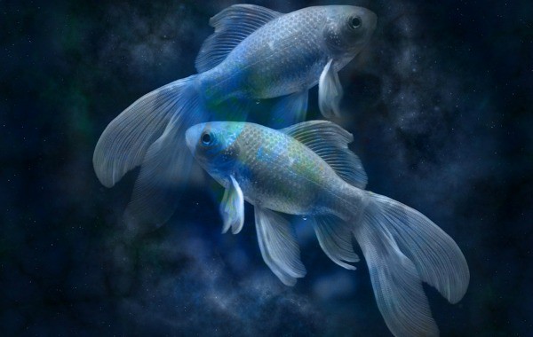 7 неща, които Рибите не могат да приемат