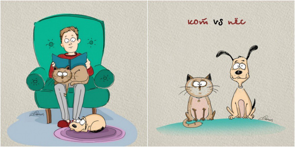 Разликите между котките и кучетата