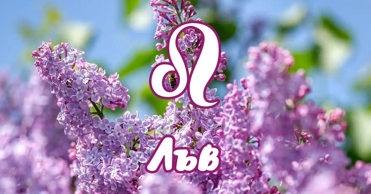 Лъв - април ще бъде силен месец за успех и личностно израстване