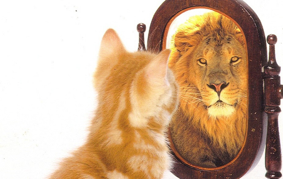 Как да развием самоувереността си?