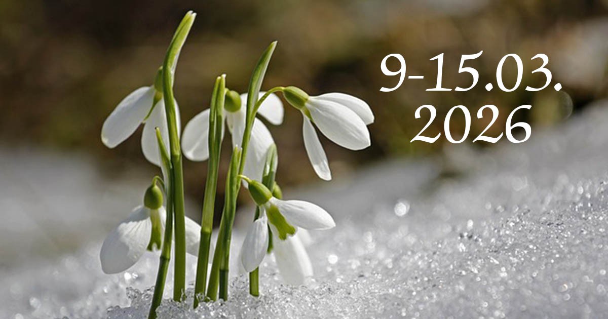 Седмичен хороскоп: 9 – 15 март: Нова енергия, важни решения и малки чудеса