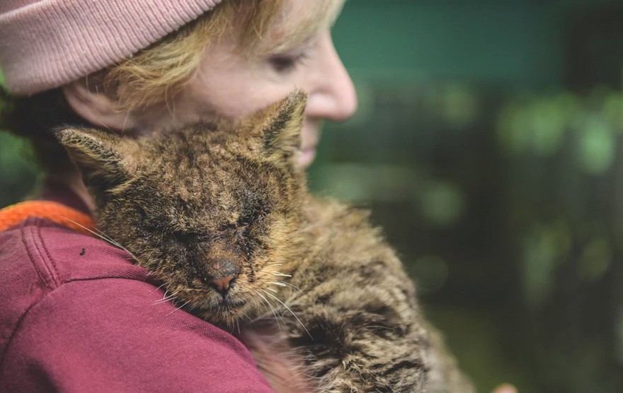 Котето, което никой не искаше да докосне, най-накрая намери прегръдка
