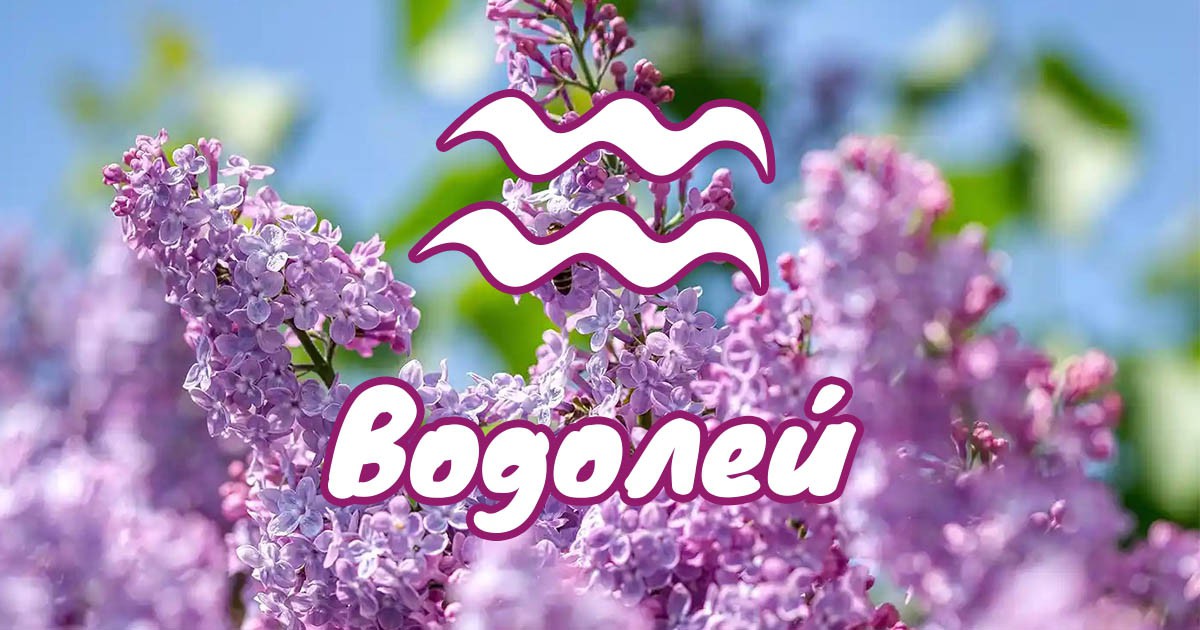 Водолей - април ви носи нови идеи и неочаквани обрати width=