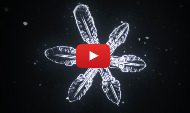 Как се ражда една снежинка (Видео)
