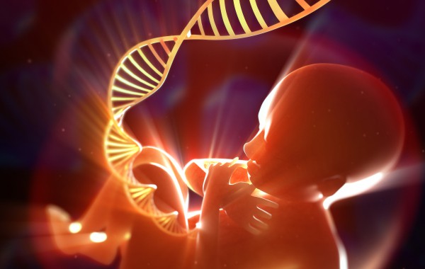 Експресията на гените и желанието ни да имаме бебе